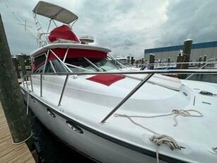 2005 Glacier Bay 35'WILD CAT