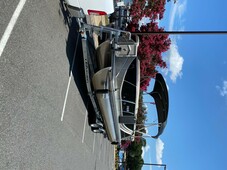 South Bay 22 Tritoon, 53 Hours, Excellent Condition,  Black And Tan, 