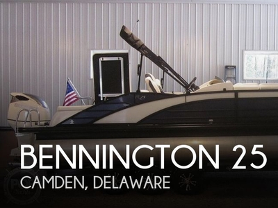 2019 Bennington R-25 Swingback