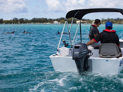 Quintrex F390 Explorer + Yamaha F25hp 4-Stroke - Pack 2 for sale online prices