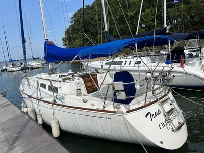 1986 Sabre 34 MK II sailboat for sale in South Carolina