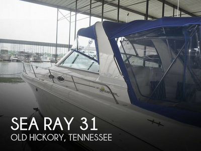 Sea Ray 31