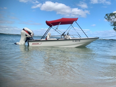Used Boats For Sale, Boston Whaler, Florida, 13 Sport, 2006, Nice Boat, Mercury,