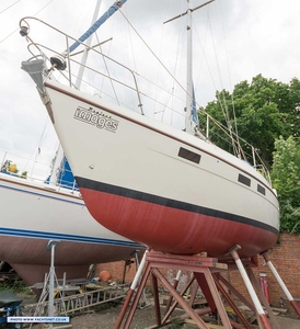 For Sale: Southerly 100