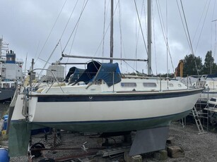 For Sale: WESTERLY GRIFFIN 