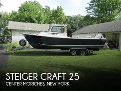 1989, Steiger Craft, 25 Chesapeake