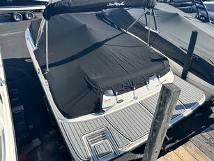 2016 Sea Ray SPX 190