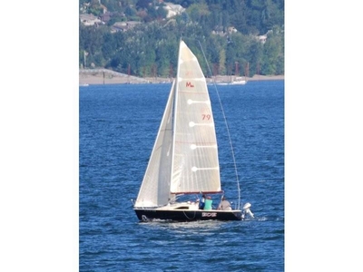 martin 242 sailboat for sale