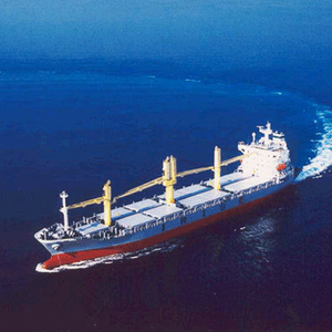 Multi-purpose vessel - HYUNDAI MIPO DOCKYARD