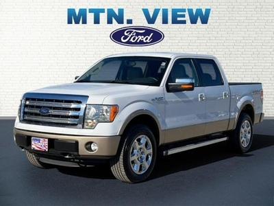 2014 Ford F-150 FX4 in Chattanooga, TN