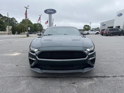 2019 Ford Mustang Bullitt in Greenville, NC