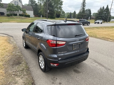 2019 Ford EcoSport SE in Ortonville, MI