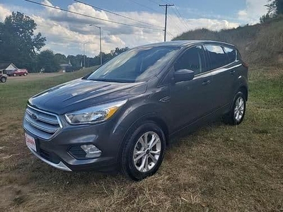 2019 Ford Escape for Sale in Orland Park, Illinois