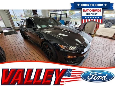 2018 Ford Mustang Shelby GT350 2DR Fastback