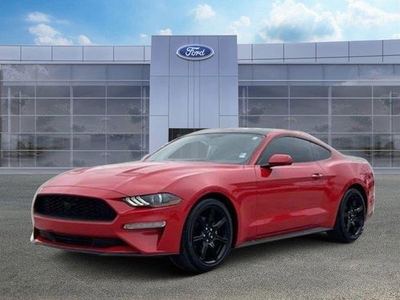 2019 Ford Mustang Ecoboost 2DR Fastback