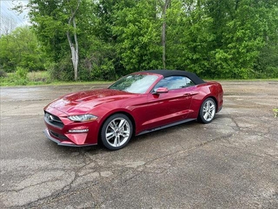 2019 Ford Mustang Ecoboost Premium 2DR Convertible
