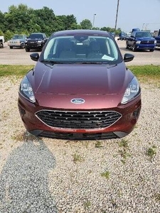 2021 Ford Escape for Sale in Co Bluffs, Iowa