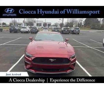 2019 Ford Mustang Eco Boost for sale in Williamsport, Pennsylvania, Pennsylvania