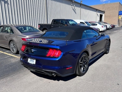 2020 Ford Mustang EcoBoost in Cape Girardeau, MO