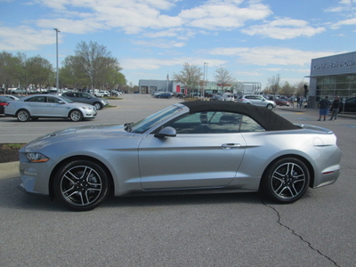 2021 Ford Mustang EcoBoost in Bentonville, AR