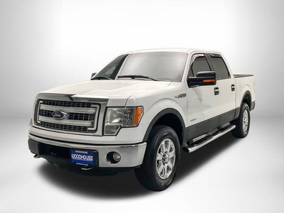 2013 Ford F-150 for Sale in Chicago, Illinois