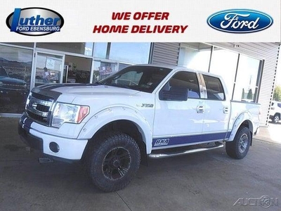 2013 Ford F-150 for Sale in Northwoods, Illinois