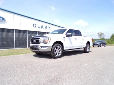2023 Ford F-150 for Sale in Downers Grove, Illinois