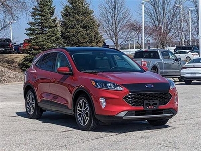 2020 Ford Escape for Sale in Chicago, Illinois