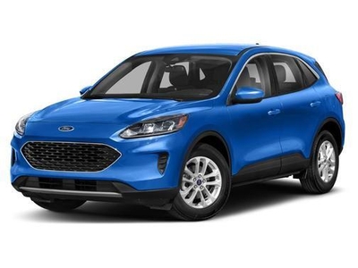 2020 Ford Escape for Sale in Chicago, Illinois