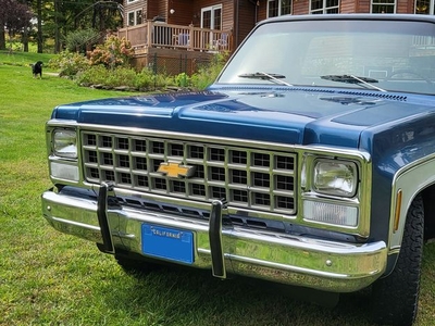 1980 Chevrolet C10 Pickup For Sale