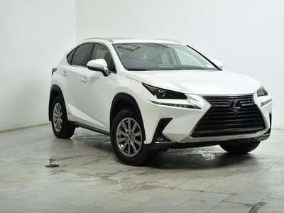 2021 Lexus NX 300h for Sale in Northwoods, Illinois