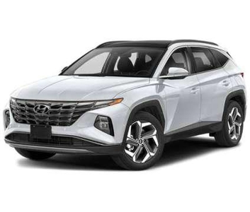 2022 Hyundai Tucson Limited for sale in Naples, Florida, Florida