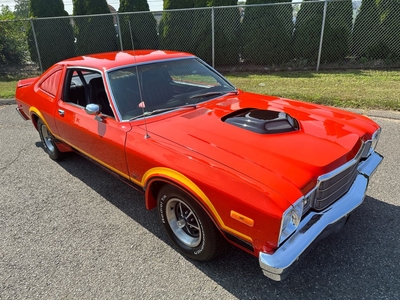 1977 Plymouth Roadrunner Valiant