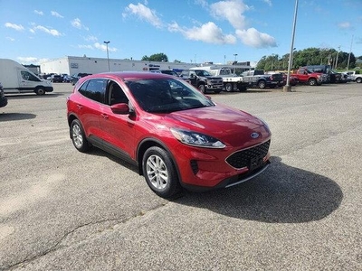 2020 Ford Escape for Sale in Northwoods, Illinois