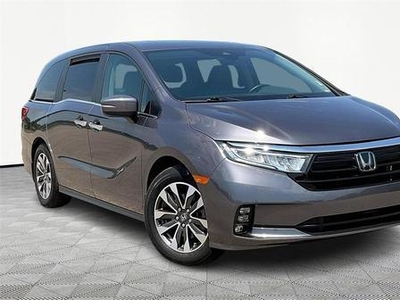2022 Honda Odyssey for Sale in Canton, Michigan