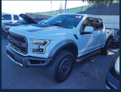 2017 Ford F-150 Raptor for sale in Indianapolis, IN