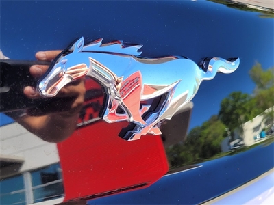 2017 Ford Mustang EcoBoost Premium in Jacksonville, FL