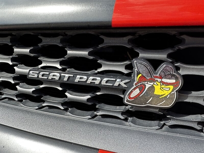 2019 Dodge Charger R/T Scat Pack in Miami, FL