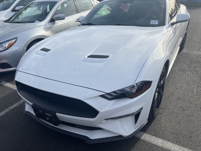 2019 Ford Mustang EcoBoost in Henderson, NV
