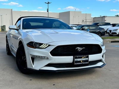 2019 Ford Mustang EcoBoost in Plano, TX