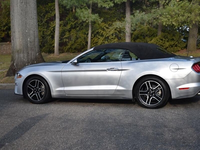 2019 Ford Mustang EcoBoost Premium 2dr Convertib in Great Neck, NY