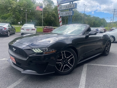 2019 Ford Mustang EcoBoost Premium in Frederick, MD