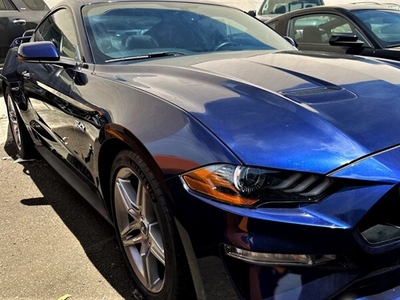 2019 Ford Mustang GT Premium in Honolulu, HI
