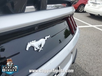 2019 Ford Mustang GT PREMIUM in Jacksonville, FL