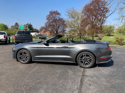 2020 Ford Mustang EcoBoost Premium in Canton, OH