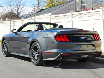 2020 Ford Mustang EcoBoost Premium in Great Neck, NY