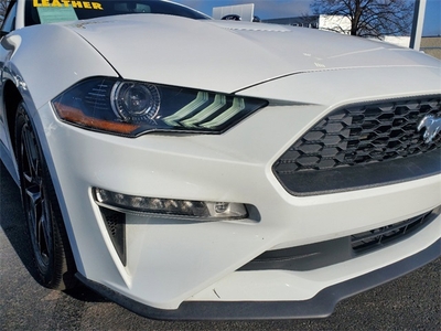 2020 Ford Mustang EcoBoost Premium in Shorewood, IL