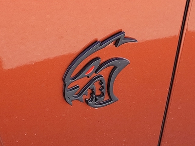 2021 Dodge Charger SRT Hellcat Redeye Widebody in Swedesboro, NJ