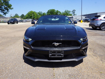 2021 Ford Mustang EcoBoost in Hammond, LA