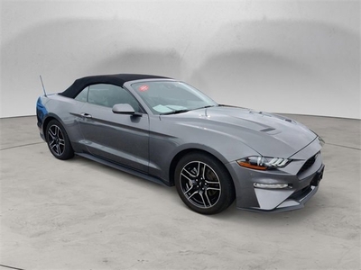 2021 Ford Mustang EcoBoost Premium in Clarksville, TN
